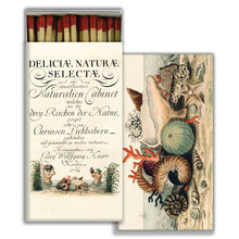 Load image into Gallery viewer, Matches - Shells 1775 - Red
