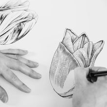 Load image into Gallery viewer, Tulip Specimen 5x7 Single Notecard