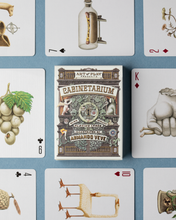 Load image into Gallery viewer, Cabinetarium Playing Cards
