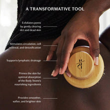 Load image into Gallery viewer, The Dry Brush