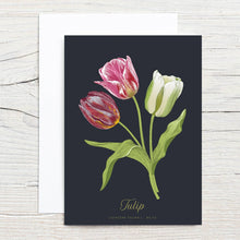 Load image into Gallery viewer, Tulip Specimen 5x7 Single Notecard