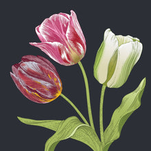 Load image into Gallery viewer, Tulip Specimen 5x7 Single Notecard