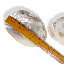 Load image into Gallery viewer, Pearl Shell Dish  |  Sage Smudge Bowl