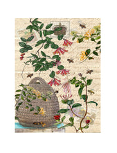Load image into Gallery viewer, Queen bee 100% cotton floursack kitchen towel 18 x 24 inches