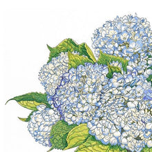 Load image into Gallery viewer, Nantucket Blooms - card