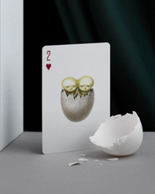 Load image into Gallery viewer, Cabinetarium Playing Cards