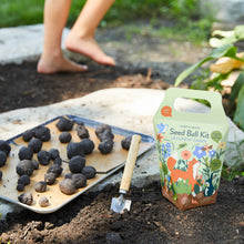 Load image into Gallery viewer, NEW DIY Seed Ball Kit - Wild Habitat