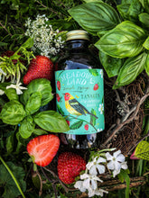 Load image into Gallery viewer, Tanager Simple Syrup