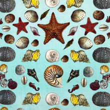 Load image into Gallery viewer, Sea shells flour sack kitchen towel 18 x 24 inches