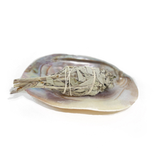Load image into Gallery viewer, Pearl Shell Dish  |  Sage Smudge Bowl