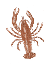 Load image into Gallery viewer, Animals/ Birds/Fish/   Lobster Hand Towel/White