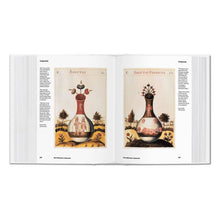 Load image into Gallery viewer, Alchemy &amp; Mysticism (English)