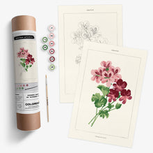 Load image into Gallery viewer, Geranium Botanical | Modern Paint By Numbers Kit