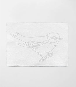 Bird Study : Goldfinch  |  Modern Paint By Numbers Kit