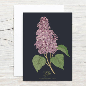 Lilac Specimen 5x7 Single Notecard