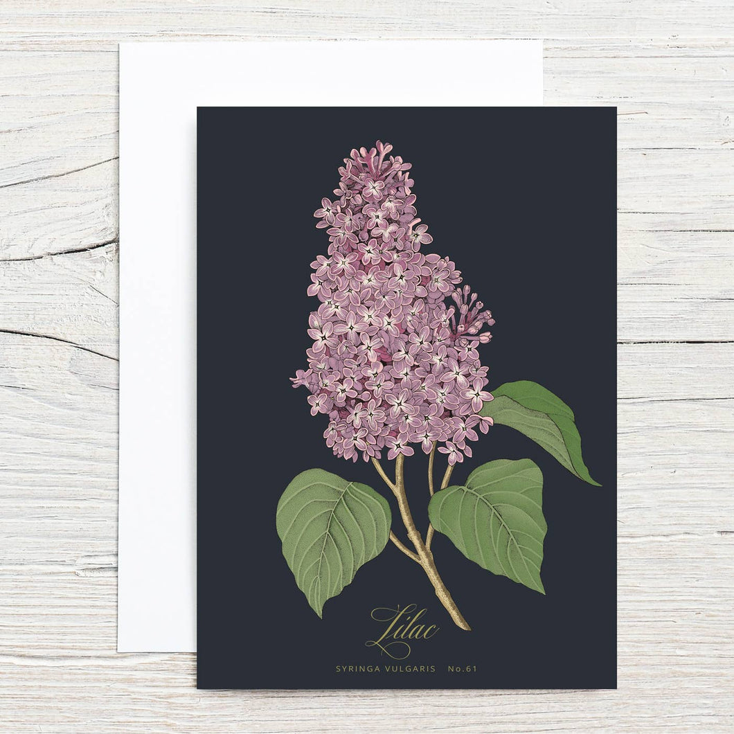 Lilac Specimen 5x7 Single Notecard
