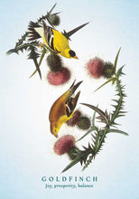 Load image into Gallery viewer, Spiritual Meaning of Birds Oracle Deck by Arin Murphy-Hiscock: Flashcards; 50 pages / English