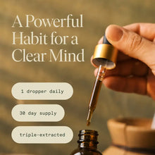 Load image into Gallery viewer, Organic Mindful Elixir for Focus &amp; Clarity: FF-MINDFUL-ELIXIR-1