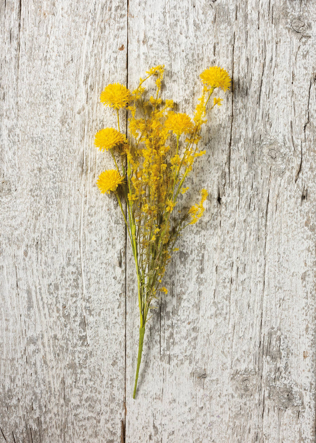 Thistle Mix Yellow Floral Pick