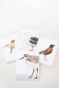"Sandpiper Crop" Watercolor Coastal Bird Greeting Card