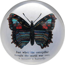 Load image into Gallery viewer, Paperweight -Butterfly