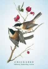 Load image into Gallery viewer, Spiritual Meaning of Birds Oracle Deck by Arin Murphy-Hiscock: Flashcards; 50 pages / English