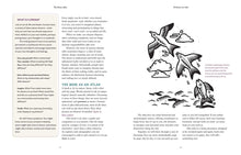 Load image into Gallery viewer, Dream Atlas by Fiona  Cook: Hardcover; 208 pages / English
