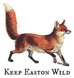 Equestrian/ Red Fox Hand Towel/White