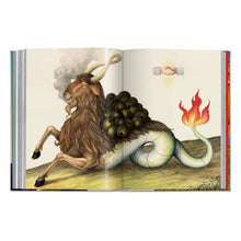 Load image into Gallery viewer, Astrology. The Library of Esoterica (English)