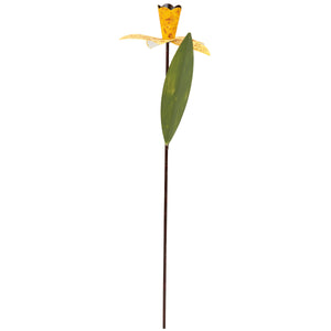 Daffodil Garden Pick