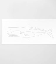 Load image into Gallery viewer, Giant Whale | Modern Paint By Numbers Kit