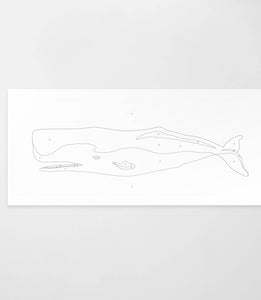 Giant Whale | Modern Paint By Numbers Kit