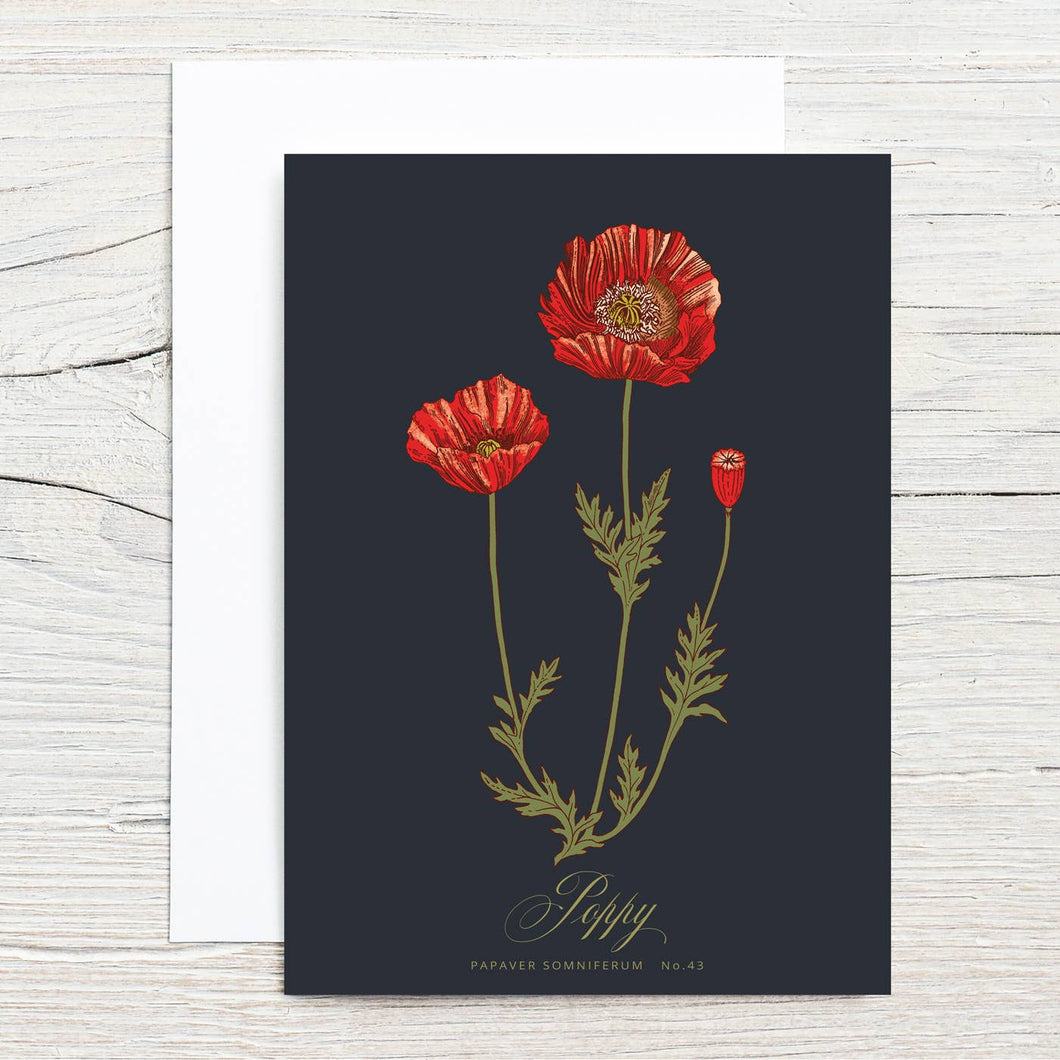Poppy Specimen 5x7 Single Notecard