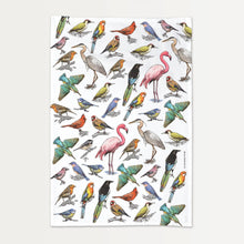 Load image into Gallery viewer, Bird Menagerie Flour Sack Towel - SALE!