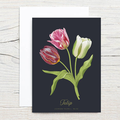 Tulip Specimen 5x7 Single Notecard