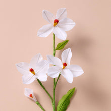 Load image into Gallery viewer, Silk Paper Paperwhite Flowers -White
