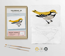 Load image into Gallery viewer, Bird Study : Goldfinch  |  Modern Paint By Numbers Kit