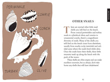 Load image into Gallery viewer, Pocket Nature: Beachcombing