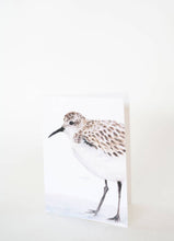 Load image into Gallery viewer, &quot;Sandpiper Crop&quot; Watercolor Coastal Bird Greeting Card