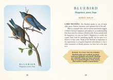 Load image into Gallery viewer, Spiritual Meaning of Birds Oracle Deck by Arin Murphy-Hiscock: Flashcards; 50 pages / English