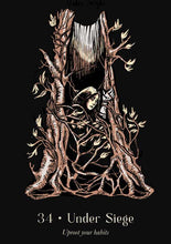 Load image into Gallery viewer, Lost Oracle by Fiona Horne: Flashcards; 144 pages / English