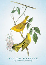Load image into Gallery viewer, Spiritual Meaning of Birds Oracle Deck by Arin Murphy-Hiscock: Flashcards; 50 pages / English