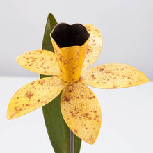 Load image into Gallery viewer, Daffodil Garden Pick