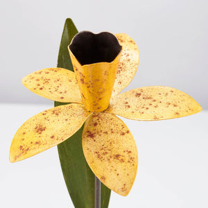 Daffodil Garden Pick