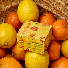 Load image into Gallery viewer, The Sun Stone | After Sun Balm &amp; Lotion Bar