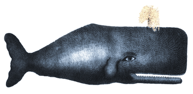 Animals/Birds/Fish/ Sperm Whale Hand Towel