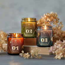 Load image into Gallery viewer, Alchemy Candles – Scented Beeswax – Autumn Collection 7oz: Vanilla + Amyris