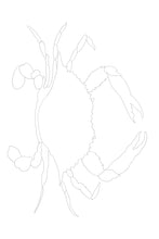 Load image into Gallery viewer, Watercolor Art Kit- Blue Claw Crab