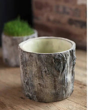 Load image into Gallery viewer, Tree Trunk Planter: Medium
