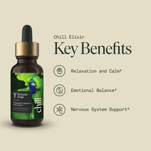 Load image into Gallery viewer, Organic Chill Elixir for Calm &amp; Nervous System Support: New Packaging
